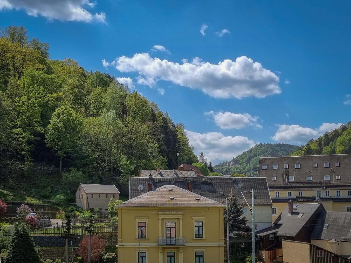 Ferienappartements Elbaussicht - Krippen Bad Schandau Bagian luar foto