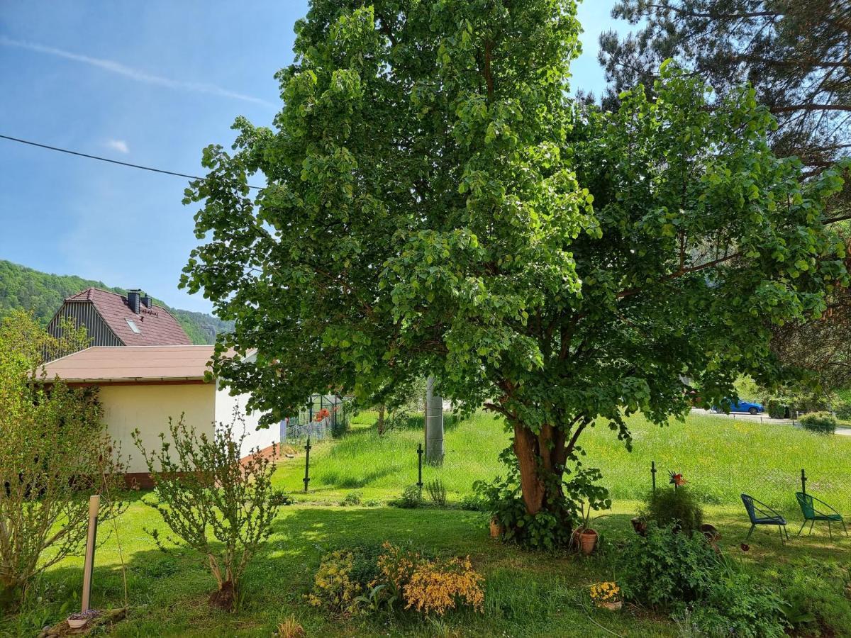 Ferienappartements Elbaussicht - Krippen Bad Schandau Bagian luar foto