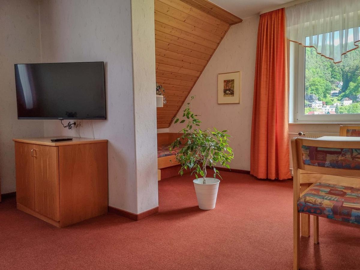 Ferienappartements Elbaussicht - Krippen Bad Schandau Bagian luar foto